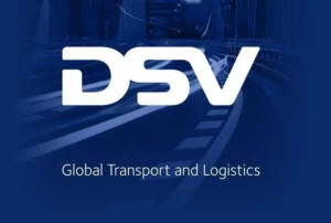 DSV logo